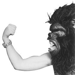 A Guerrilla Girl's Fist