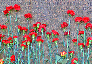 Red Carnations