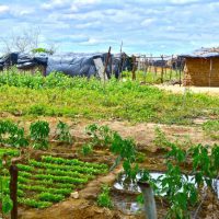 An occupation Camp in Filhos da Luta, Pernambuco in 2014. (Photo by Mel Gurr)