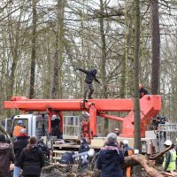 Pressenza - Hambacher Forst- Jetzt erst recht! – Aufruf zum deutschlandweiten Aktionstag am 03. Februar pressenza.com