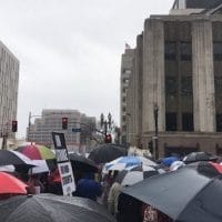 Scenes from the UTLA Teachers’ Strike