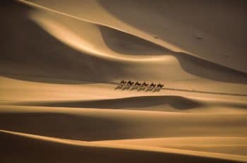 | Michael Yamashita Mingsha Shan The Singing Sand Dunes Gansu China 2019 | MR Online