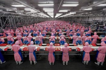 | Edward Burtynsky Manufacturing 17 Deda Chicken Processing Plant Dehui City Jilin Province 2005 | MR Online