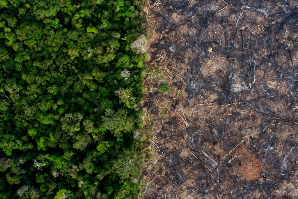 | At the edge of Uru Eu Wau Wau territory where the forest meets barren cattle lands is a difference of night and day Without vegetation the regions topsoil dries and depletes quickly requiring expensive systems of short term life support and the constant creation of new land Most pasture is degraded and abandoned within 10 or 15 years Photo Gabriel Uchida | MR Online