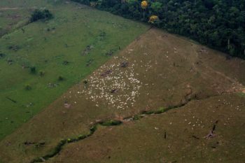 | At the edge of Uru Eu Wau Wau territory where the forest meets barren cattle lands is a difference of night and day Without vegetation the regions topsoil dries and depletes quickly requiring expensive systems of short term life support and the constant creation of new land Most pasture is degraded and abandoned within 10 or 15 years Photo Gabriel Uchida | MR Online