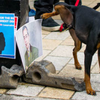 boris-johnson-farage-pissing-dog