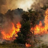 The Amazon fires have made headlines internationally, since this rainforest is one of the world’s most important natural preserves, producing 20% of the oxygen we breathe. Photo: NASA