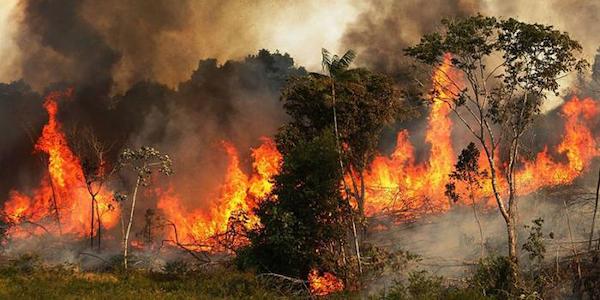 | The Amazon fires have made headlines internationally since this rainforest is one of the worlds most important natural preserves producing 20 of the oxygen we breathe Photo NASA | MR Online