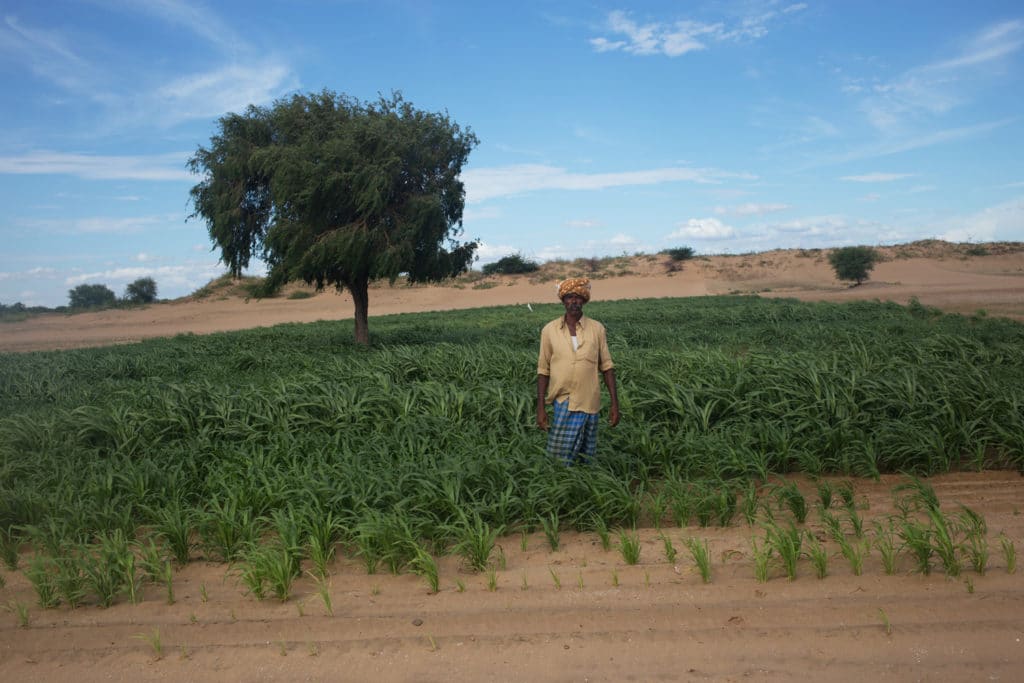 | Twenty years ago Pujari Linganna had to uproot vegetation for a film shoot | MR Online