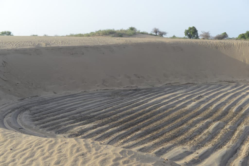 | Honnureddys painstakingly laid out rows of plants were covered in sand in four days | MR Online