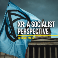 | XR A Socialist Perspective | MR Online