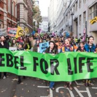 Extinction Rebellion- Rebellion against whom?