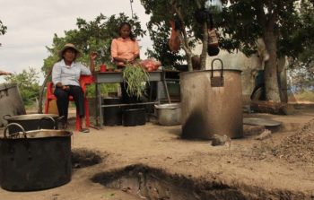 | Mobilisation in Catatumbo Department of North Santander Peasant Association of Catatumbo Ascamcat | MR Online