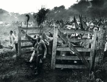 | Sebastião Salgado The struggle for land the march of a human column 1997 | MR Online