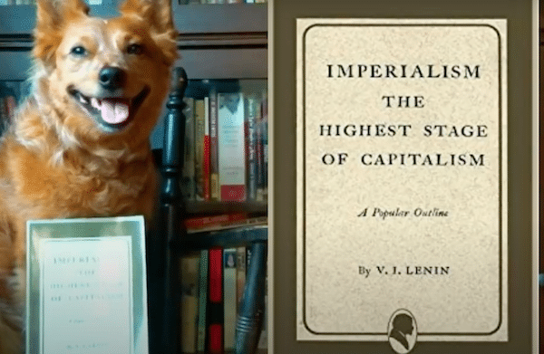 | Imperialism The Highest Stage of Capitalism by Vladimir Lenin Review ft Peter Coffin | MR Online