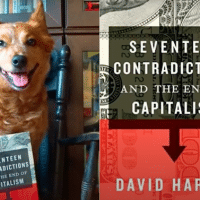 | 17 Contradictions and the End of Capitalism by David Harvey Review ft Mad Blender | MR Online