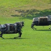 Robot sheep (Source: pinterest.com)