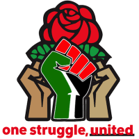 DSA PALESTINE SOLIDARITY WORKING GROUP LOGO