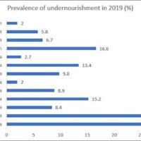 Source for Figures 1-3: The State of Food Insecurity and Nutrition in the World 2020, FAO and others