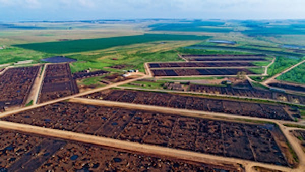 | Industrializing pathogens Cattle pictured in a feedlot in South Africa MARTIN HARVEYGETTY IMAGES | MR Online