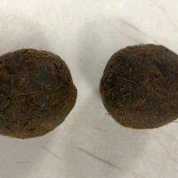 The cow dung cakes found in a suitcase that arrived on an Air India flight at the Dulles Washington airport in the US. Photo: US Customs and Border Protection