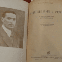 Vygotsky Book