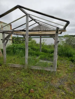 | An empty fish rack in St Marys a village on the Yukon River at a time of year when it would normally be packed with salmon fillets getting smoked or dried for preservation Photo by Serena Fitka Yukon River Drainage Fisheries Association 2021 | MR Online