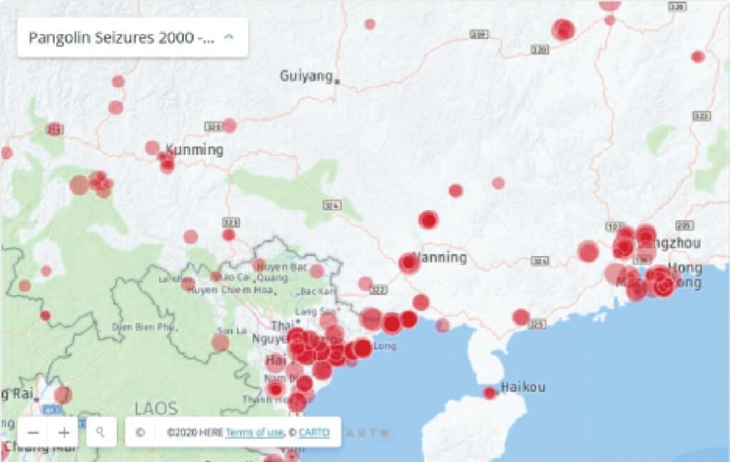 | Seizures of illegal shipments of pangolin scales 2000 2019 | MR Online