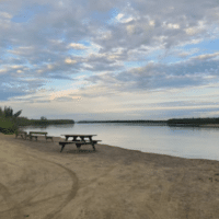 An empty boat launch at Manley Hot Springs on the Tanana River, a tributary of the Yukon River. Usually this time of year the shore would be busy early and late every day with people loading and unloading gear, fish and people, and launching and pulling out boats. 2021 (Photo by Serena Fitka, Yukon River Drainage Fisheries Association)