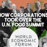 How big corporations and Bill Gates took over the UN food Summit