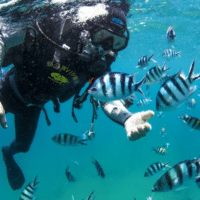 China lags in protecting fish and invertebrate stocks and aquatic plants, as well as coral reefs. Photo: XinhuaChina lags in protecting fish and invertebrate stocks and aquatic plants, as well as coral reefs. Photo: Xinhua China lags in protecting fish and invertebrate stocks and aquatic plants, as well as coral reefs. Photo: Xinhua