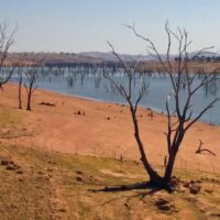 ‘Look up’, Australia: How capitalism and climate change are turning our food bowl to dust