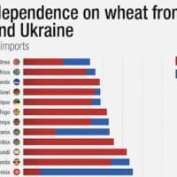 Africa wheat dependency Russia and Ukraine