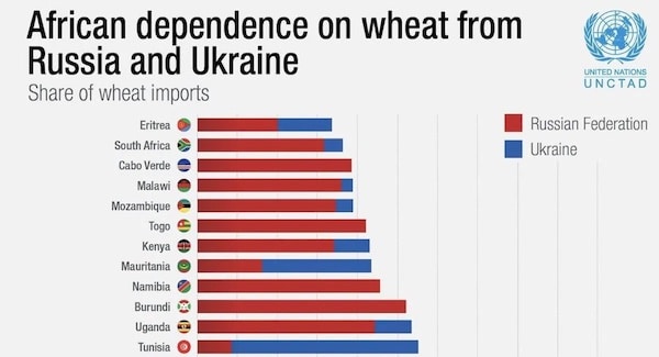 | Africa wheat dependency Russia and Ukraine | MR Online