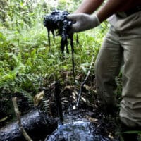 Crude contaminates the Aguarico 4 oil pit, an open pool abandoned by Texaco after 6 years of production and never remediated.