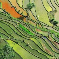 A farm in China's southern Yunnan province