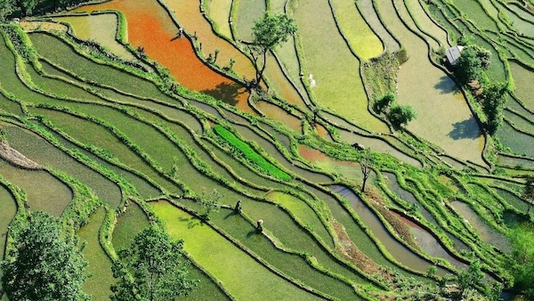 | A farm in Chinas southern Yunnan province | MR Online