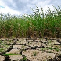 As Myanmar experiences more extreme weather events, a roadmap that lays the context, analysis, and options on how to tackle climate change is highly essential, 2016