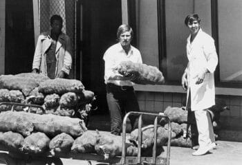 | White supervisors undertake Black labourers work in a market in January 1973 Credit David Hemson Collection University of Cape Town Libraries | MR Online