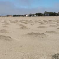 The unmarked graves of those who died in the concentration camps. (Image by Ester Mbathera)