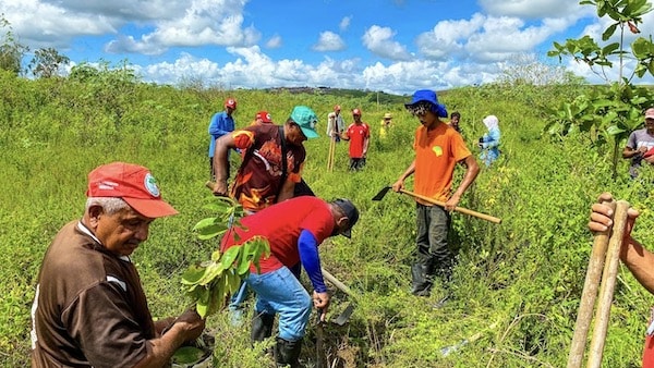 | In the Atalaia Alagoas the Carlos Marighella Brigade of the MST organized tree planting next to the Paraíba River Photo Mykesio Max | MR Online