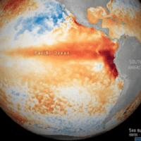 Satellite images showing sea surface temperature anomaly as of May 17, 2023. | Photo: Twitter/ @ESA_EO