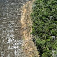 In 2023, deforestation in the Amazon rainforest dropped to pre-Bolsonaro levels. - FLORIAN PLAUCHEUR / AFP