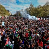 Paris Pro-Palestine Protest