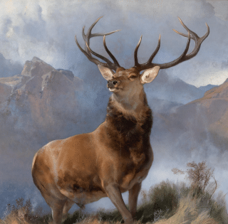 | Edwin LandseerThe Monarch of the Glen | MR Online