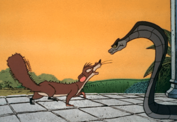 | The Jungle Book Rikki Tikki Tavi | MR Online