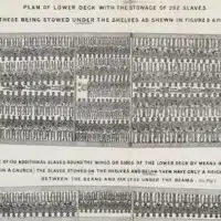 Stowage of the British slave ship Brookes under the regulated slave trade act of 1788