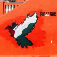 | Graffiti in Wale Street Cape Town Western Cape South Africa 2024 | MR Online