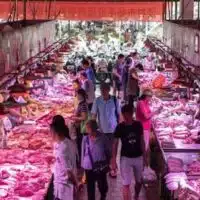 Vendors in wet markets sell a wide range of vegetables, fruit and meats.