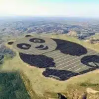 The panda solar farm in Datong, China.